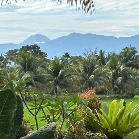 Sumatra Expedition Lodge Bukit Lawang Dış mekan fotoğraf