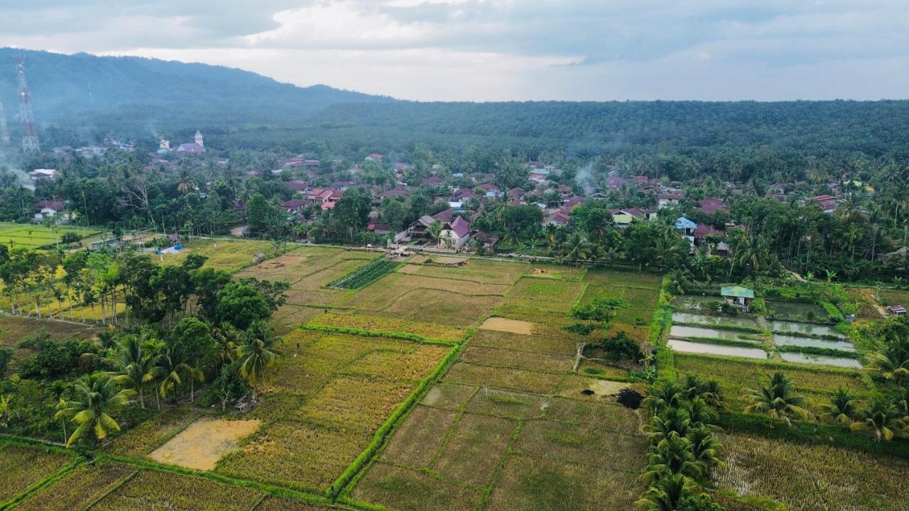 Sumatra Expedition Lodge Bukit Lawang Dış mekan fotoğraf