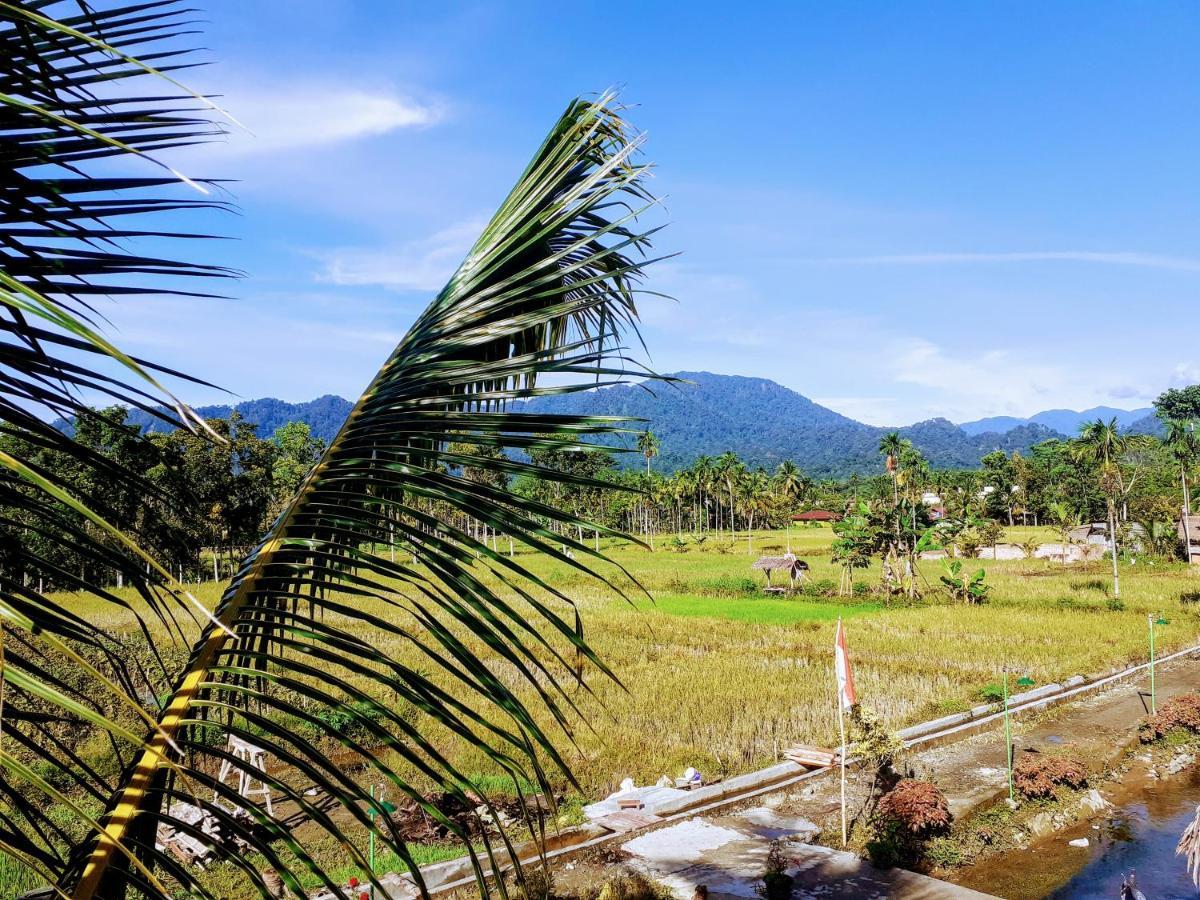 Sumatra Expedition Lodge Bukit Lawang Dış mekan fotoğraf