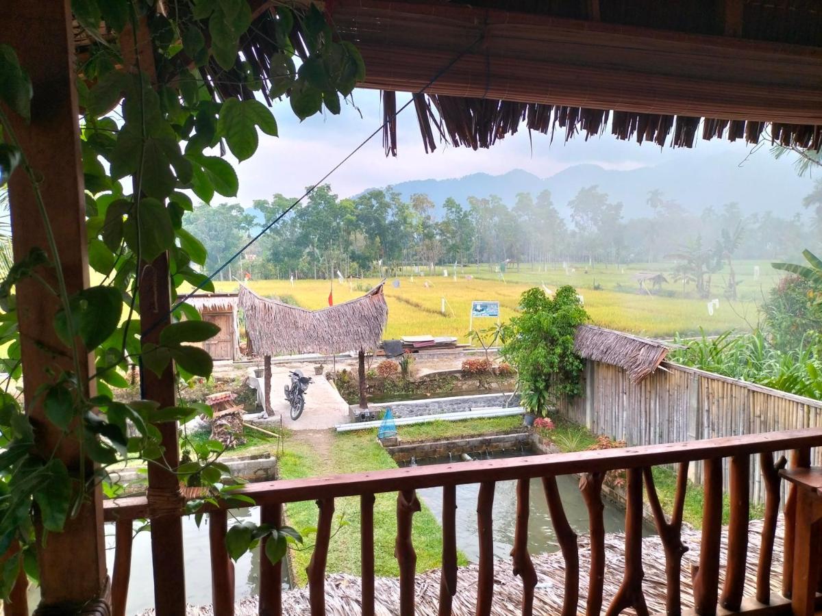 Sumatra Expedition Lodge Bukit Lawang Dış mekan fotoğraf