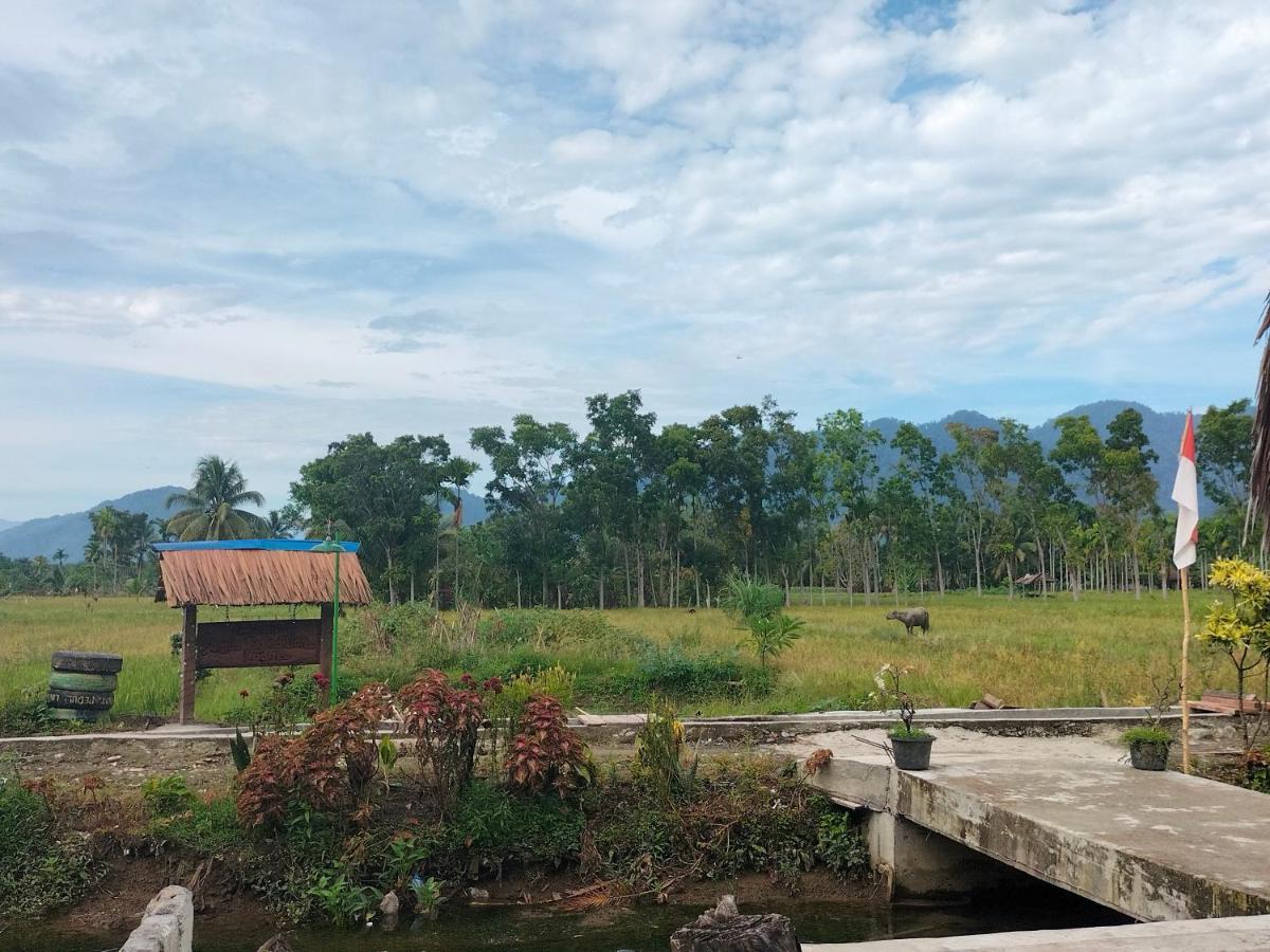 Sumatra Expedition Lodge Bukit Lawang Dış mekan fotoğraf