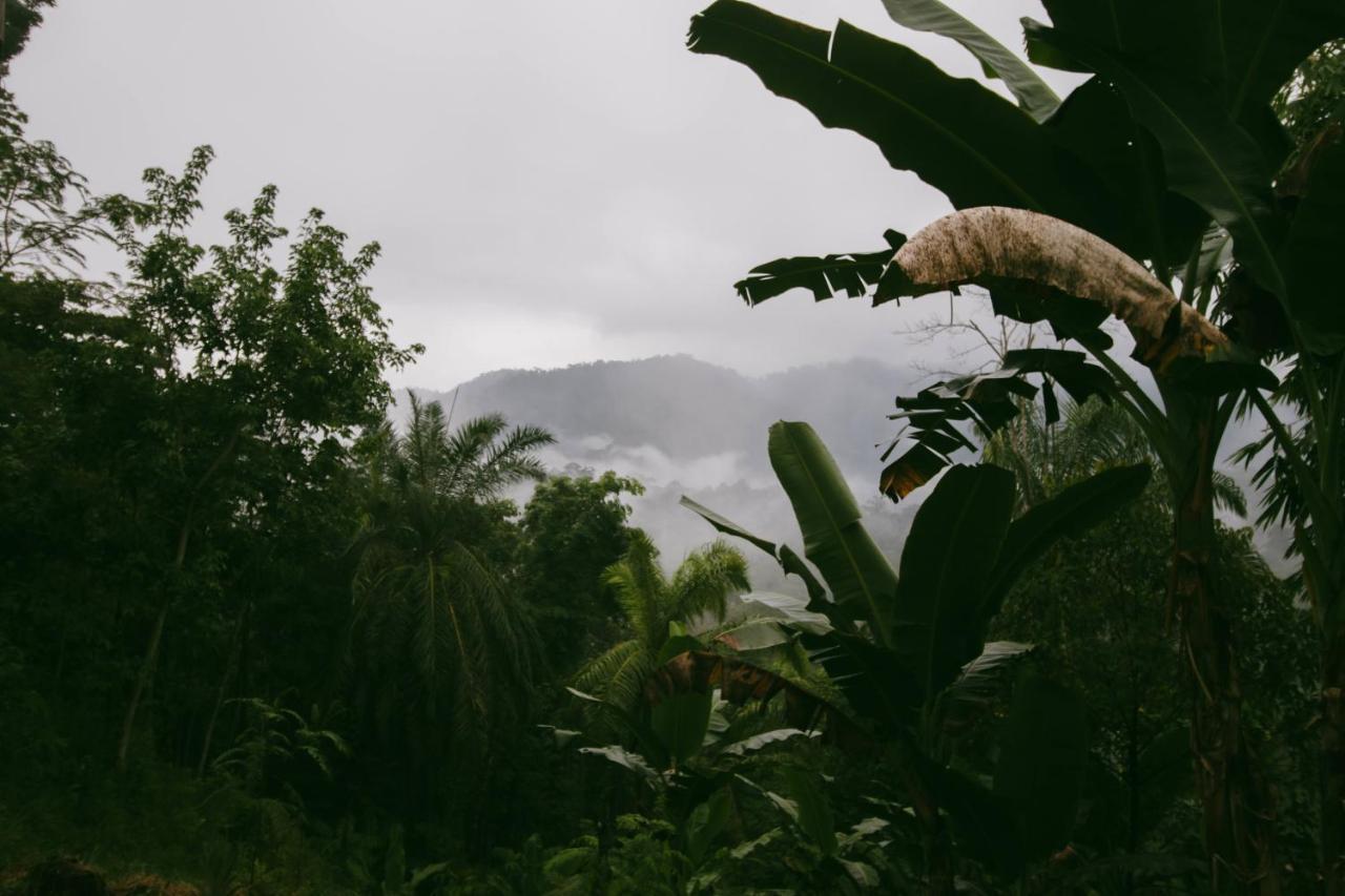Sumatra Expedition Lodge Bukit Lawang Dış mekan fotoğraf