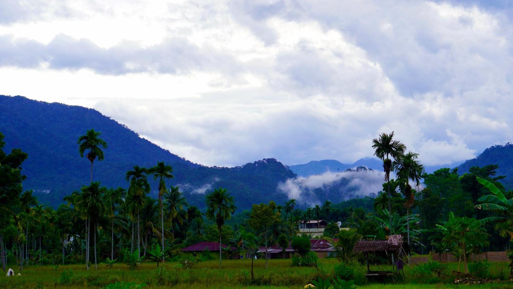 Sumatra Expedition Lodge Bukit Lawang Dış mekan fotoğraf