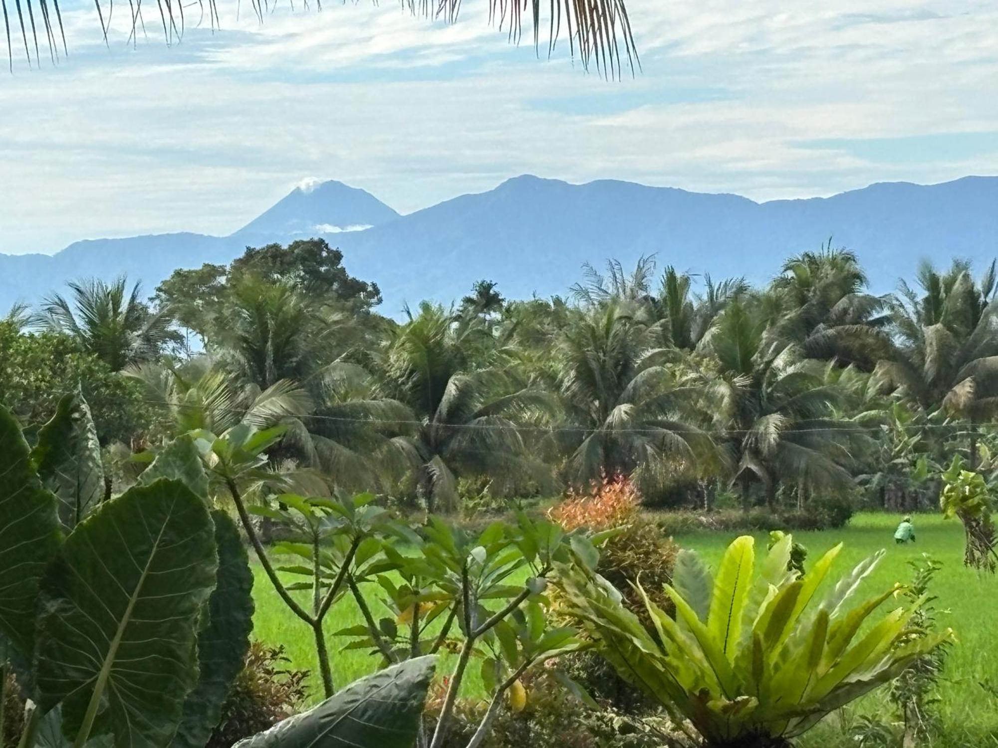 Sumatra Expedition Lodge Bukit Lawang Dış mekan fotoğraf