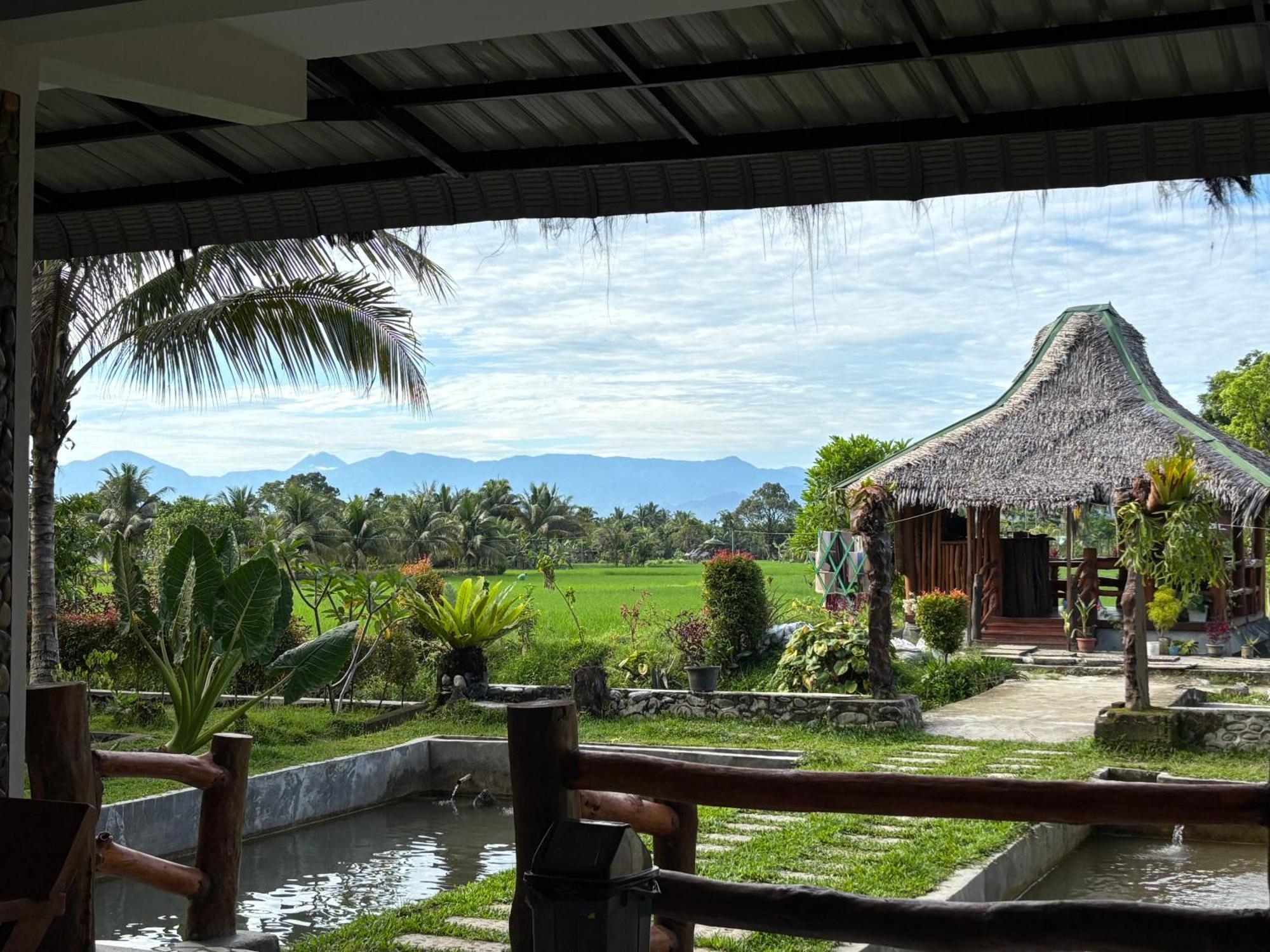 Sumatra Expedition Lodge Bukit Lawang Dış mekan fotoğraf