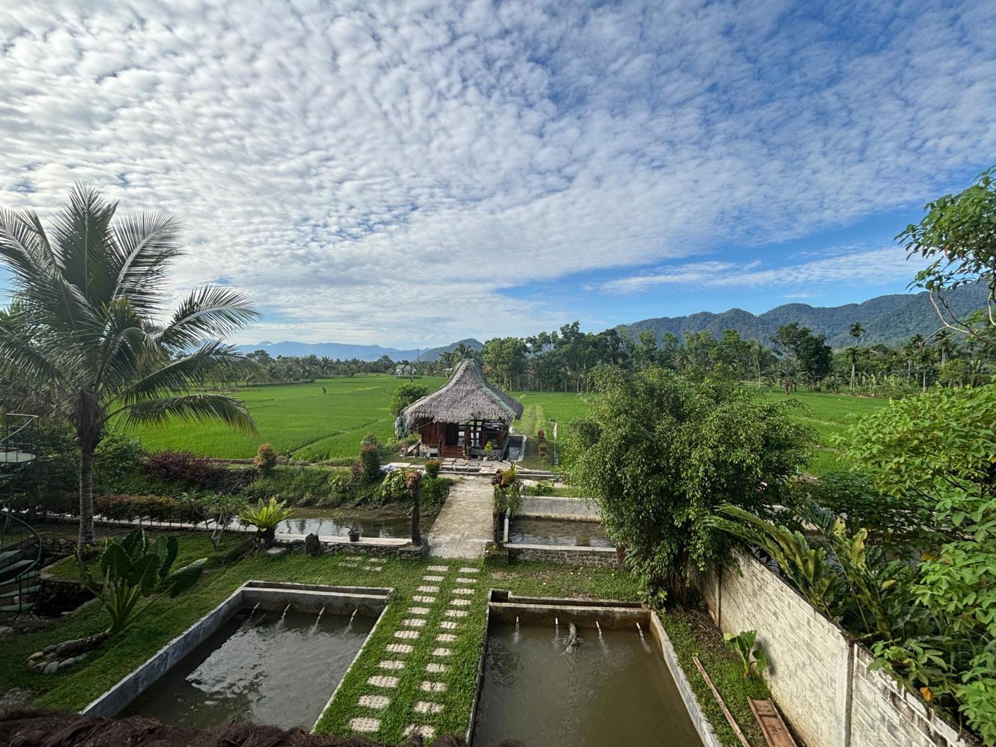 Sumatra Expedition Lodge Bukit Lawang Dış mekan fotoğraf